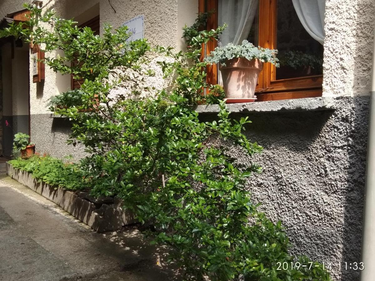 Casa Julio Villa Торла Екстериор снимка