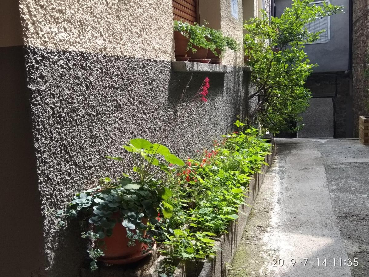 Casa Julio Villa Торла Екстериор снимка